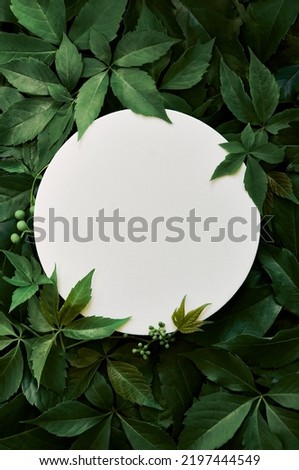White round template podium mockup natural organic cosmetic product presentation ad on green eco forest fresh leaves nature flat lay background, trendy stylish minimalist flatlay vertical backdrop. Royalty-Free Stock Photo #2197444549