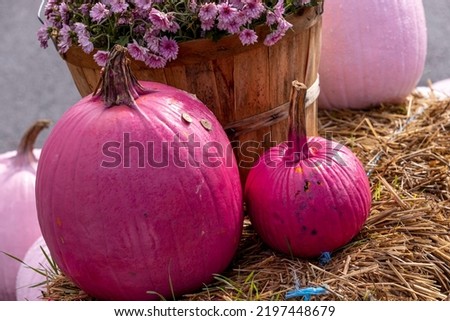 Large and small pink pumpkin sitting on hay bale in front of bushel basket filled with pink mum flowers