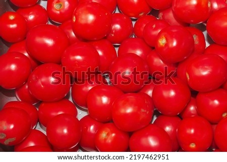 Red ripe tomatoes as background, closeup. Food backgrounds concept