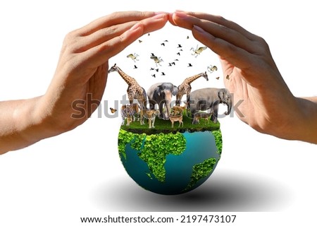 World Animal Day World Wildlife Day  Groups of wild beasts were gathered in the hands of people Royalty-Free Stock Photo #2197473107