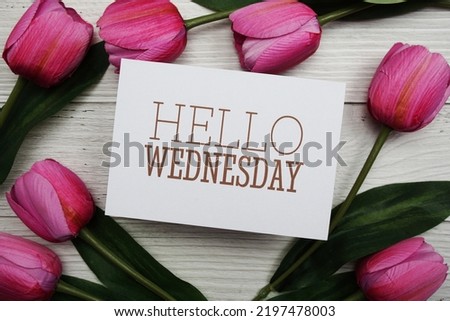 Hello Wednesday card with tulip flower on wooden background