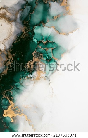 Marble ink abstract art from exquisite original painting for abstract background . Painting was painted on high quality paper texture to create smooth marble background pattern of kintsuki ink art . Royalty-Free Stock Photo #2197503071