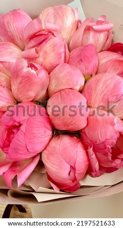 pink bouquet of peonies close-up