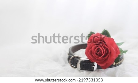 Dog collar with a red rose symbolizing the love of a beloved pet
