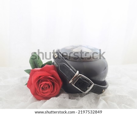 In remembrance of a pet. Red rose beside an urn filled with ashes of a dog. Royalty-Free Stock Photo #2197532849