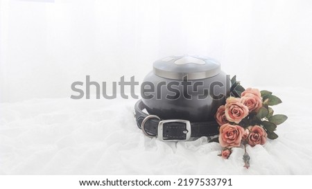 In remembrance of a pet. Bouquet of pink roses beside an urn filled with ashes of a dog isolated on a white background. Royalty-Free Stock Photo #2197533791