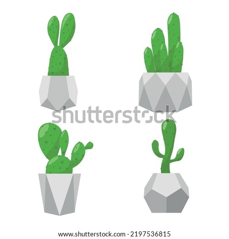 a set of cacti in a concrete pot