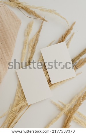 Blank paper sheet cards with mockup copy space, dry pampas grass on white background. Flat lay, top view minimal business brand template