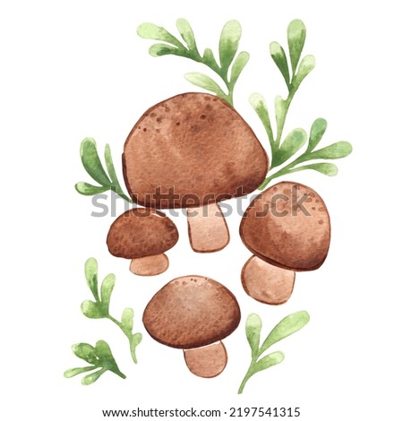 shitake mushroom with fern watercolor illustration for decoration on mythical plant and forest.