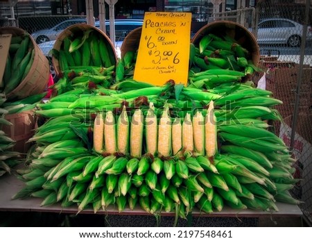 Corn on the cob for sale on a Caribbean island