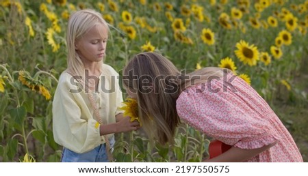 Beautiful young girl enjoying nature on the field of sunflowers at sunset. Freedom concept. Happy sisters outdoors. Harvest. Childhood. Country life.