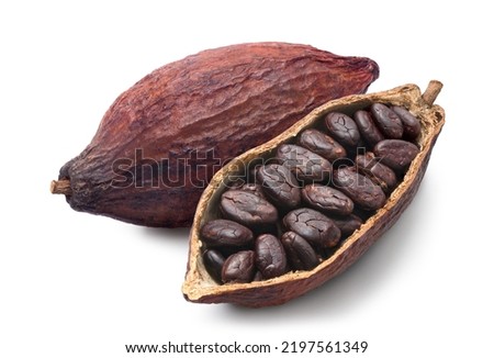 Cocoa beans with cocoa pod isolated on white background. Clipping path. Royalty-Free Stock Photo #2197561349