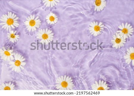 Daisy flower floating in the circular waves turquoise splashing water. Creative floral, skin care concept. Minimal spa natural composition, eco organic cosmetic. Spring or summertime idea. Royalty-Free Stock Photo #2197562469