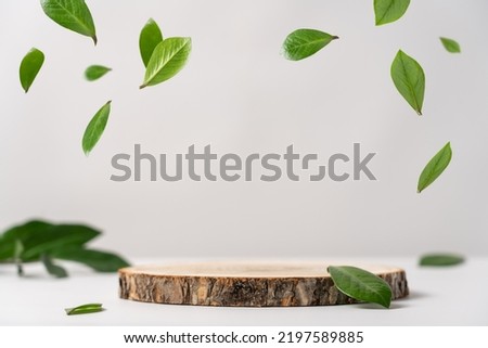 Wood slice podium and green flying leaves on white background. Concept scene stage showcase for new product, promotion sale, banner, presentation, cosmetic. Wooden stand studio empty Royalty-Free Stock Photo #2197589885