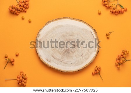 Wood slice podium on orange background with  autumn rowan berries. Top view  showcase, product, promotion sale, presentation, beauty cosmetic. Wooden stand empty