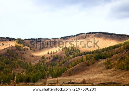 altai mountain steppe landscape scenery nature russia