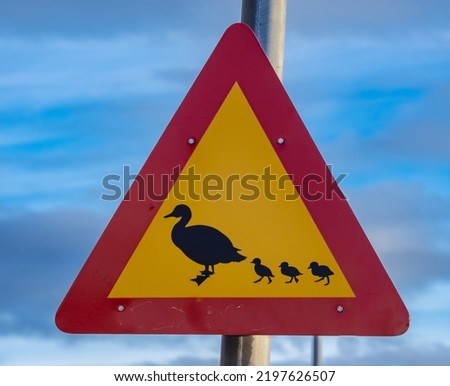 Traffic sign in central Reykjavik instructing drivers to yield to breeding and migrating birds. A lovely symbol highlighting the respect for nature reigning in the capital of Iceland