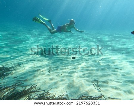 underwater man snorkeling in the sea withcrystal-clear waters concept of holiday relax summer beach diver in the