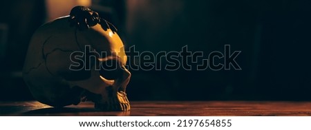 Human skull in dark tone background for using in Halloween concept, scary and death style with old white horror bone skeleton, real anatomy education