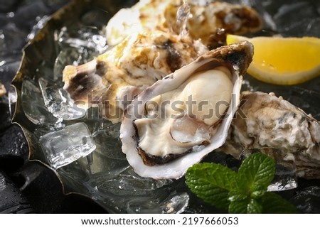 Oyster platter on Japanese plate (close up)
 Royalty-Free Stock Photo #2197666053