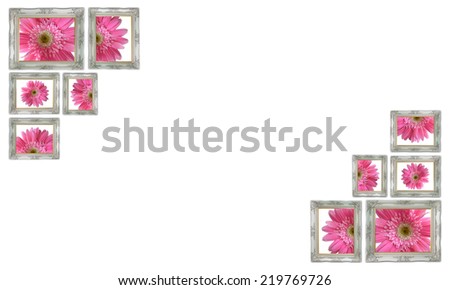 Pink flower in Vintage picture frame isolated on white background