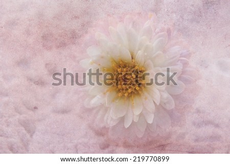Textured pink flower over knitted cloth