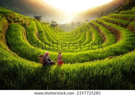 Farmer in Mu cang chai village walking on the mountain and golden rice terraces at Mucangchai town near Sapa city, north of Vietnam Royalty-Free Stock Photo #2197725285