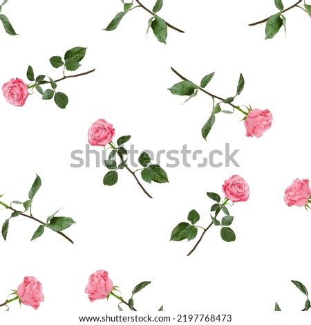 Roses isolated on white background, SEAMLESS, PATTERN Royalty-Free Stock Photo #2197768473