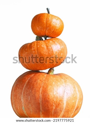 Tower of pumpkins isolated on white background for Thanksgiving or Halloween theme. Stack of vegetables set, orange pumpkins pattern. Hallowen, design, food, fall, template, squash and nature concept
