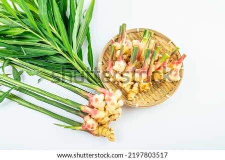 Bamboo sieve filled with fresh tender ginger Royalty-Free Stock Photo #2197803517