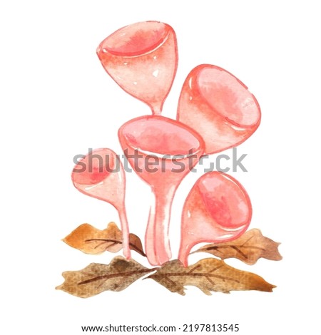 Coral cup fungus with fall leaves watercolor for decoration on garden and forest.