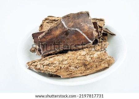 Chinese herbal medicine Sichuan wild eucommia on white background