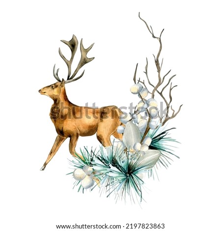 Composition of winter plants and deer watercolor illustration isolated on white.