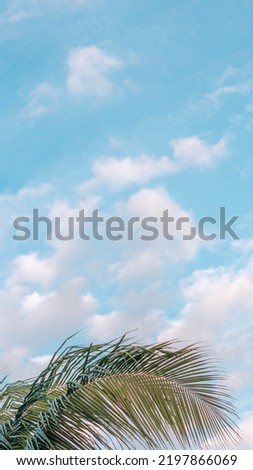 VERTICAL tropical coconut green palm tree sky white clouds background summer day air Spindrift cloud