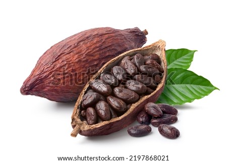 Cocoa beans with cocoa pod isolated on white background. Clipping path. Royalty-Free Stock Photo #2197868021