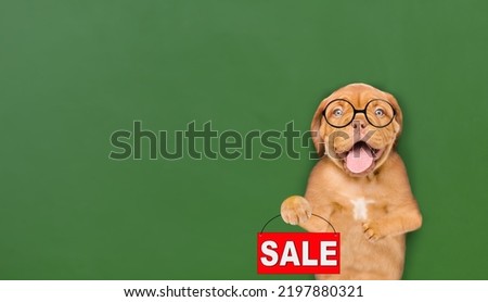 Smiling smart puppy wearing eyeglasses holds sales symbol near green chalkboard