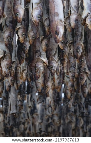 A closeup of hanging dried fish