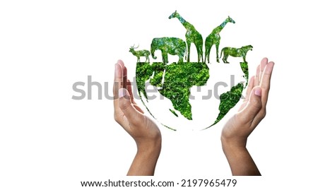 World Animal Day World Wildlife Day  Groups of wild beasts were gathered in the hands of people Royalty-Free Stock Photo #2197965479