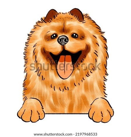 Illustration of adorable Dog, Chow Chow Dog
