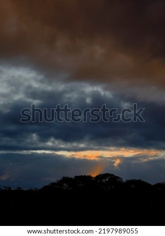 Dramatic clouds at sunset with silhouetted trees along the horizon. A ray of sunlight is bursting out from below the treeline and behind the clouds. 