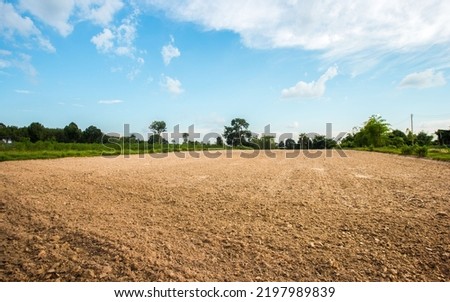 Empty dry cracked swamp reclamation soil, land plot for housing construction project with car tire print in rural area and beautiful blue sky with fresh air Land for sales landscape concept. Royalty-Free Stock Photo #2197989839