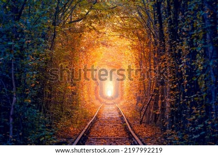 Old Golden Autumn Trees Tunnel with old railway - Tunnel of Love. Natural tunnel of love formed by trees.  Ukraine, Europe Royalty-Free Stock Photo #2197992219