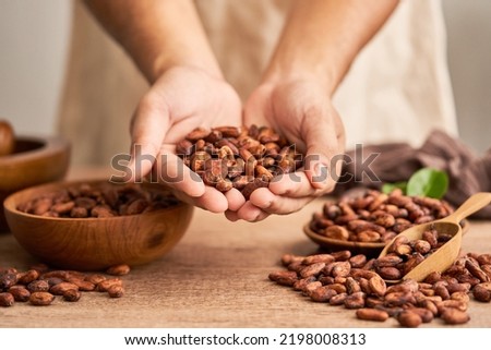 Asian man farmer hands holding freshly harvested raw cocoa beans or cacao beans background                               