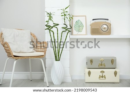 Vase with green bamboo stems on floor in room. Interior design Royalty-Free Stock Photo #2198009543