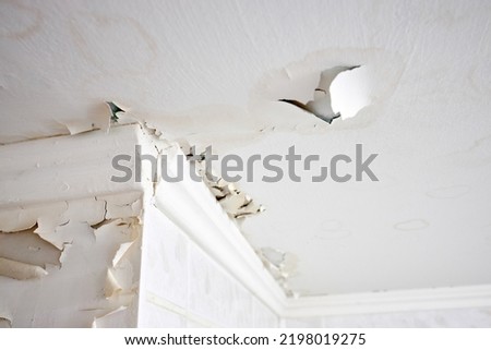 Swelling leaking of whitewash and plaster on ceiling of dwelling due to penetration of water from the top floor or roof, selective focus. Royalty-Free Stock Photo #2198019275