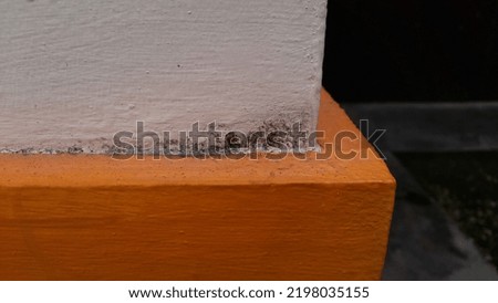 the corner of the wall is white and orange with a small moss in the corner