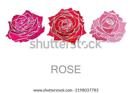 Decorative hand drawn rose flowers, design elements. Can be used for cards, invitations, banners, posters, print design. Floral background