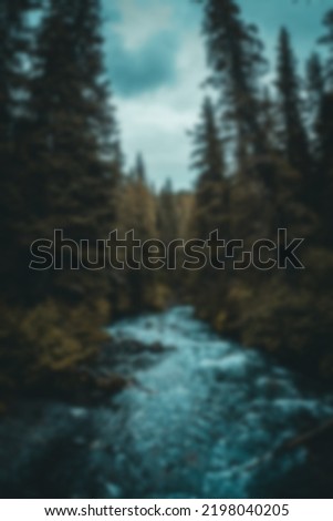 Defocus abstract background of the forest