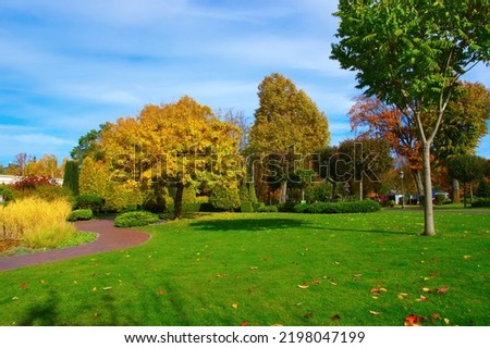 Autumn park with colorful fall foliage in sunlight