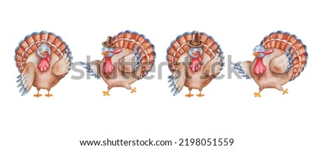 Watercolor illustration of hand painted turkey birds in pilgrim hats with brown, blue feathers, wings. Cartoon animal character. Isolated on white clip art for prints, posters, cards for Thanksgiving